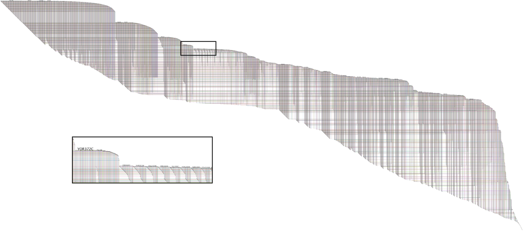 BioFabric Network